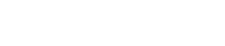 PRONUS — Producción y operación